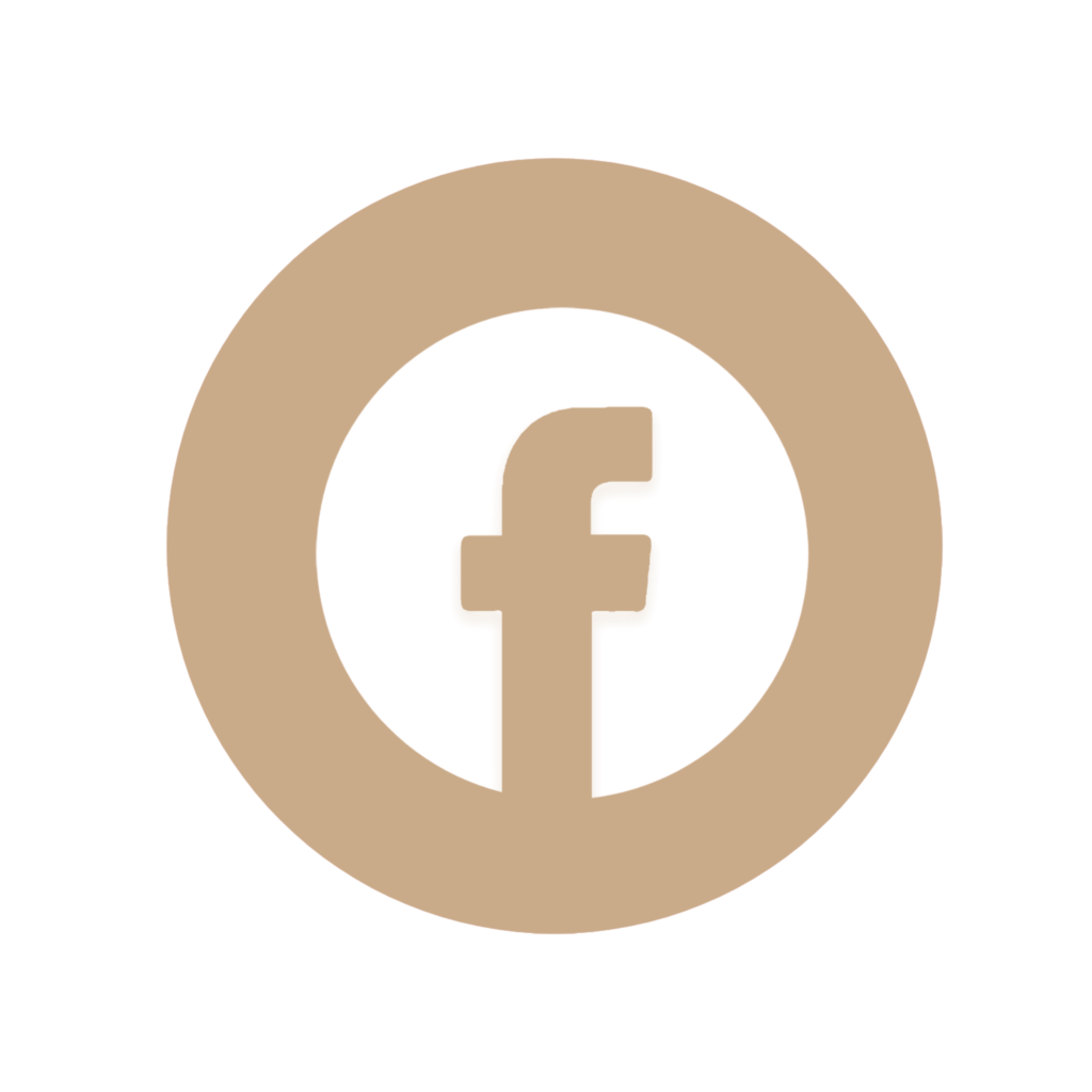 Facebook Aesthetic Icon